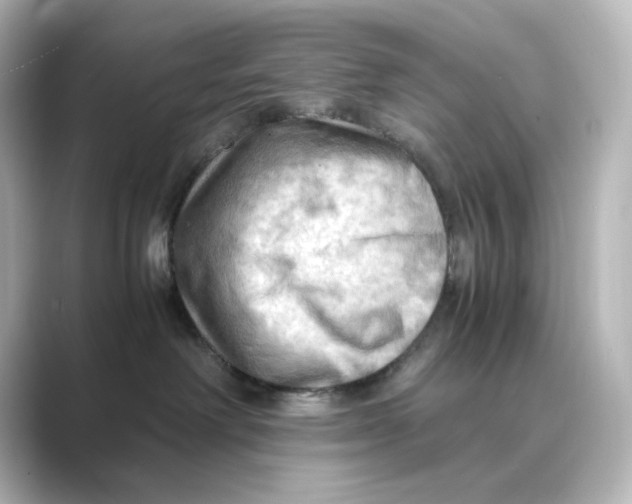 X0000088740238200706212102