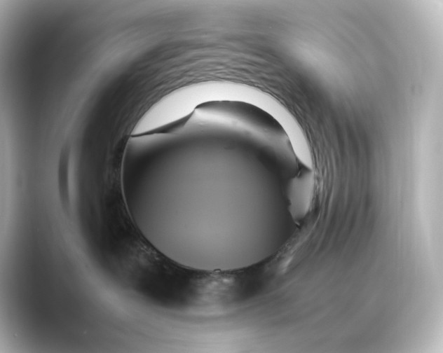 X0000088740239200706212102
