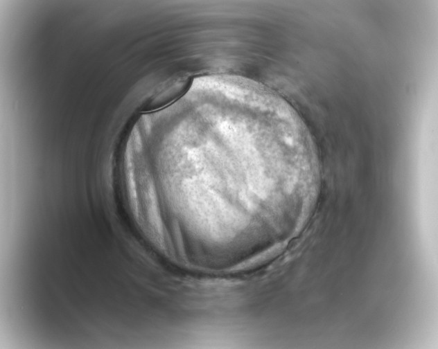 X0000088740242200706212102