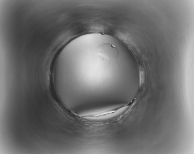 X0000088740243200706212102