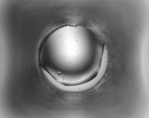 X0000088740244200706212102