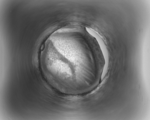 X0000088740245200706212102