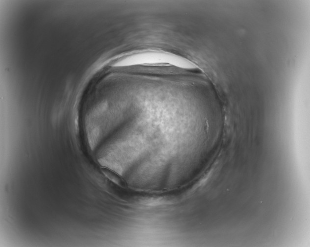 X0000088740246200706212102