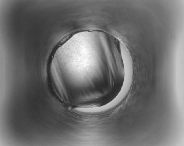 X0000088740248200706212102