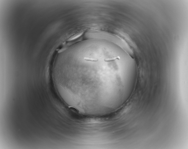 X0000088740250200706212102