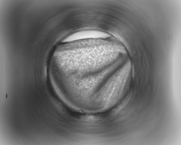 X0000088740253200706212102