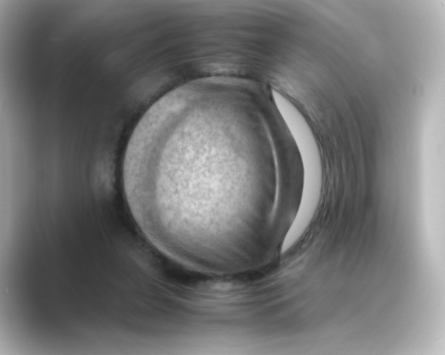 X0000088740255200706212102