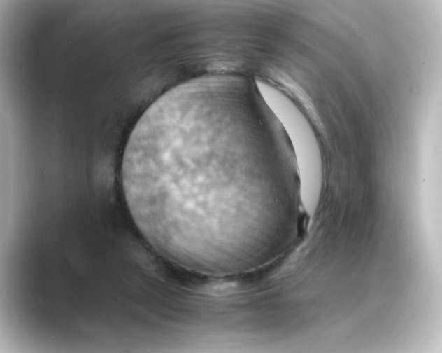 X0000088740257200706212102