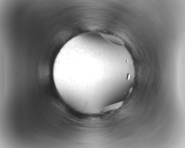 X0000088740260200706212102