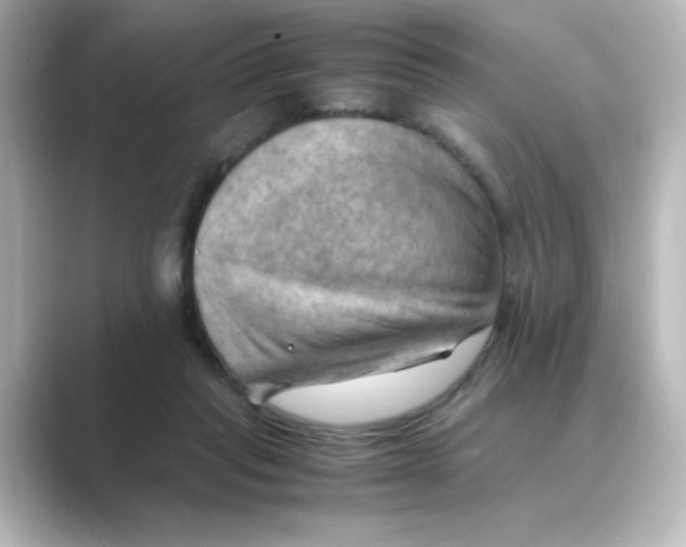 X0000088740261200706212102