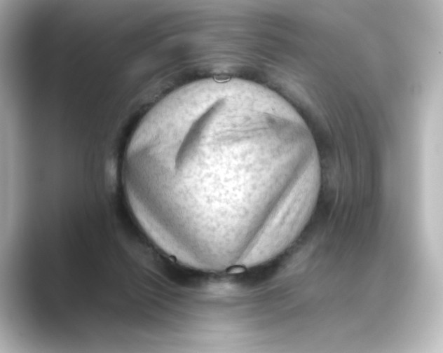 X0000088740262200706212102