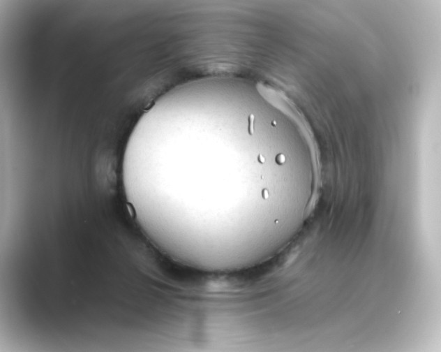 X0000088740264200706212102