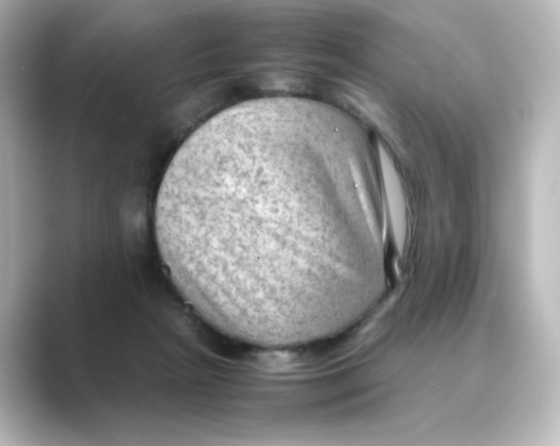 X0000088740265200706212102
