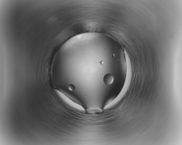 X0000088740266200706212102