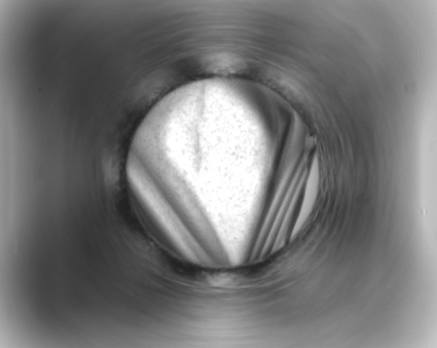 X0000088740268200706212102