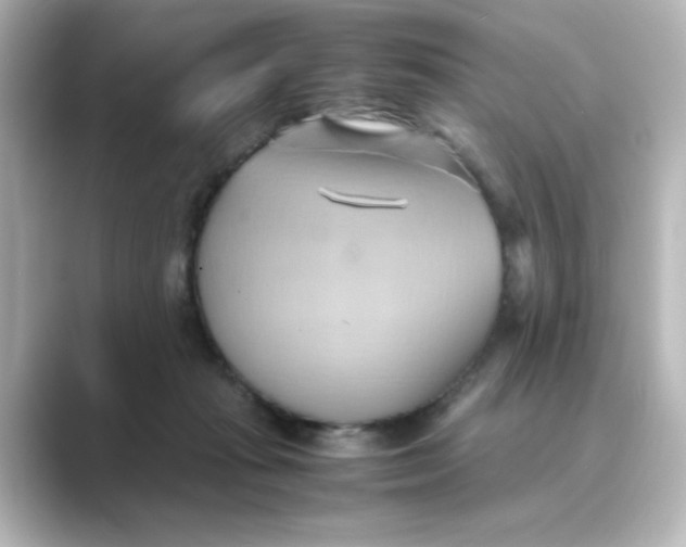 X0000088740269200706212102