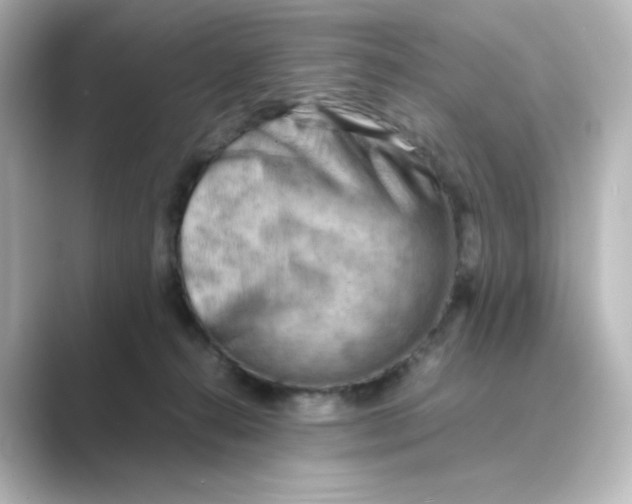 X0000088740272200706212102