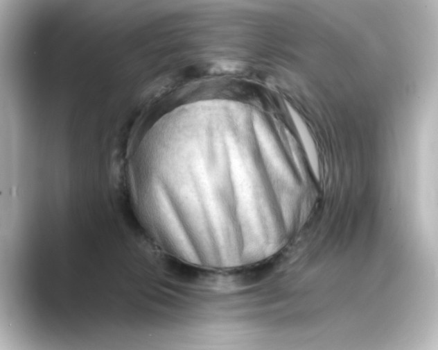 X0000088740276200706212102