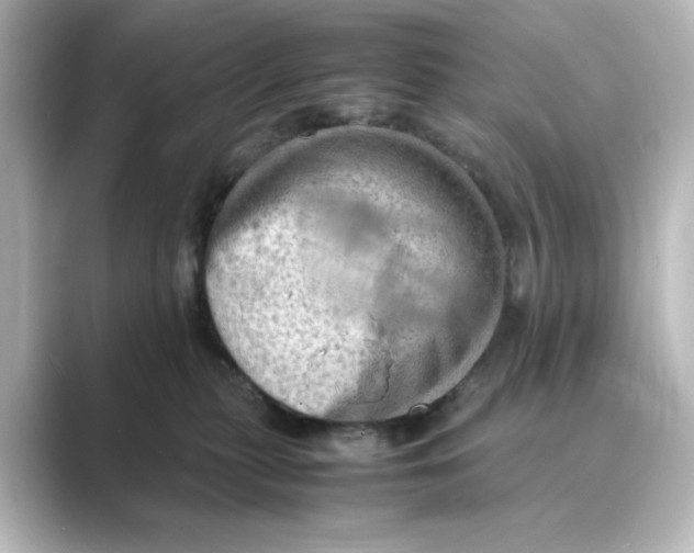 X0000088740279200706212102