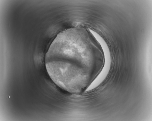 X0000088740280200706212102