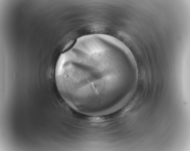 X0000088740281200706212102