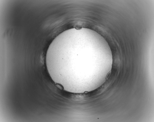 X0000088740282200706212102