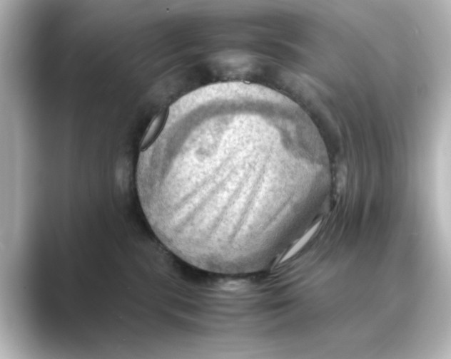 X0000088740283200706212102