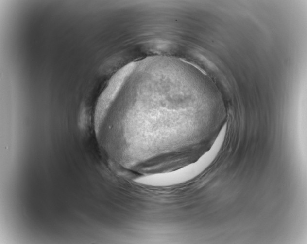 X0000088740284200706212102