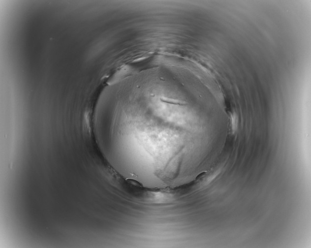 X0000088740286200706212102