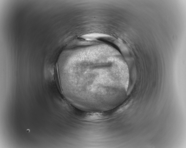 X0000088740288200706212102