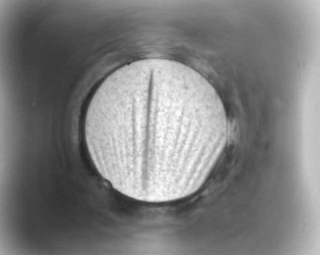 X0000088740291200706212102