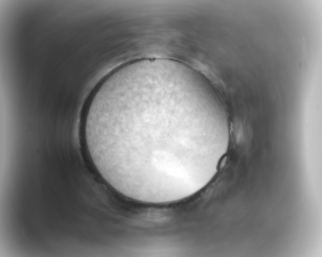 X0000088740292200706212102