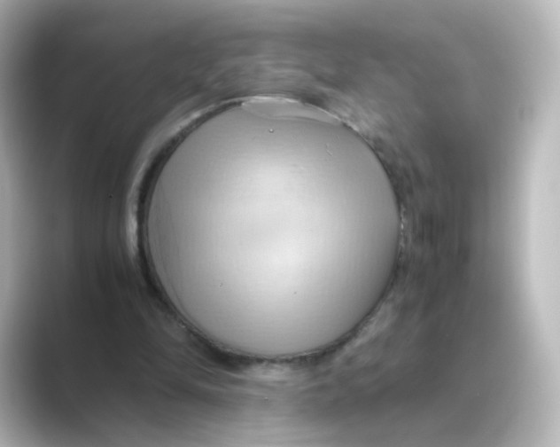 X0000088740294200706212102