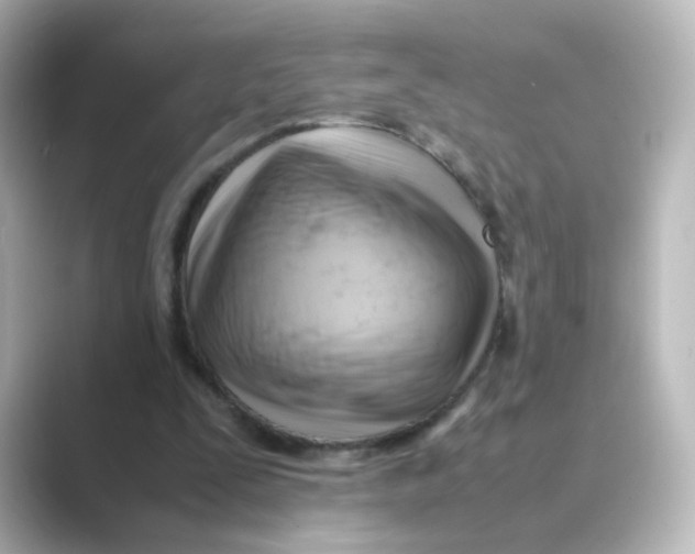 X0000088740295200706212102