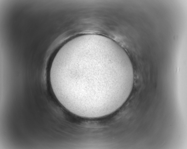 X0000088740296200706212102