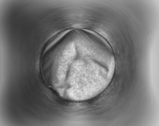 X0000088740297200706212102