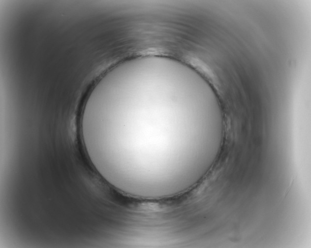 X0000088740298200706212102
