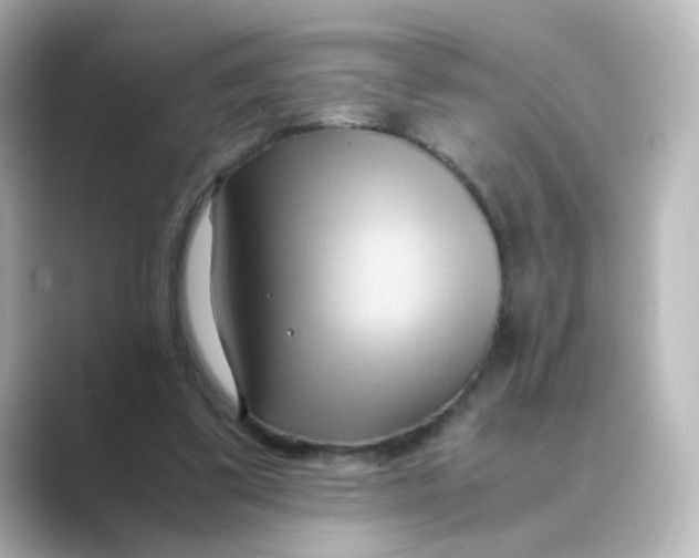X0000088740299200706212101