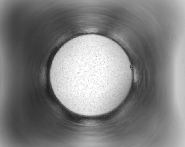 X0000088740300200706212101