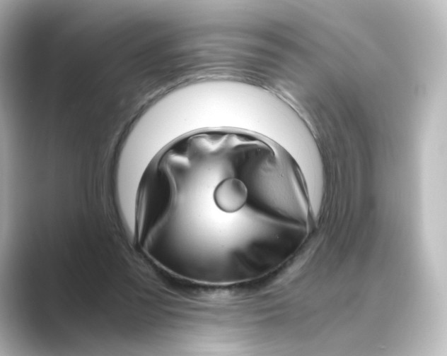 X0000088740301200706212101