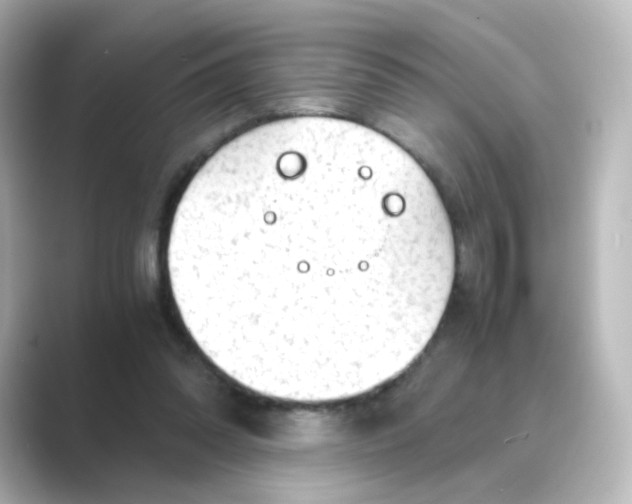 X0000088740302200706212101