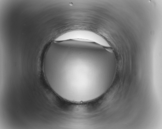X0000088740303200706212101