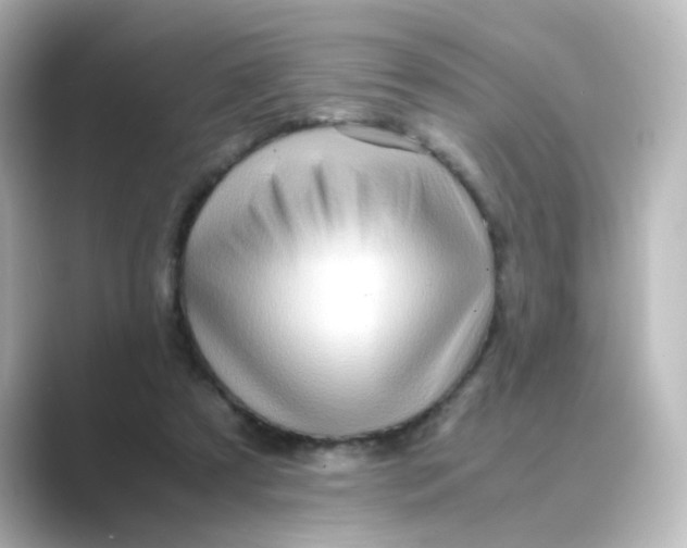 X0000088740305200706212101