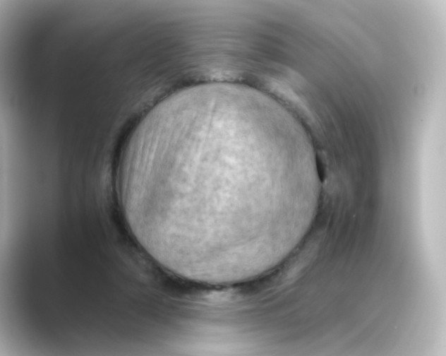 X0000088740306200706212101