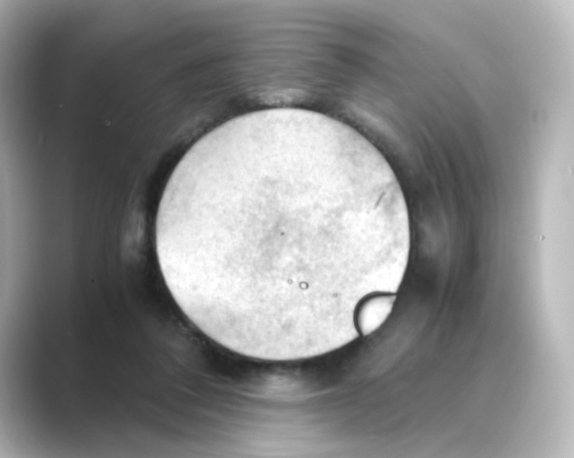 X0000088740308200706212101