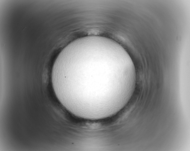 X0000088740311200706212101