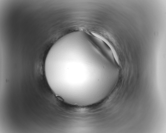 X0000088740313200706212101