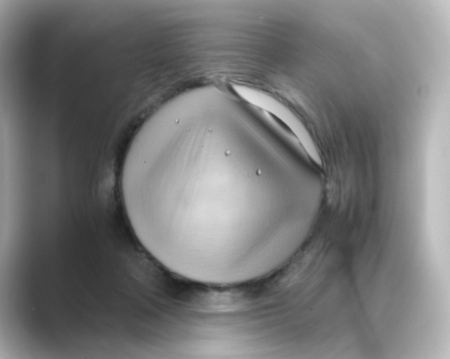 X0000088740314200706212101