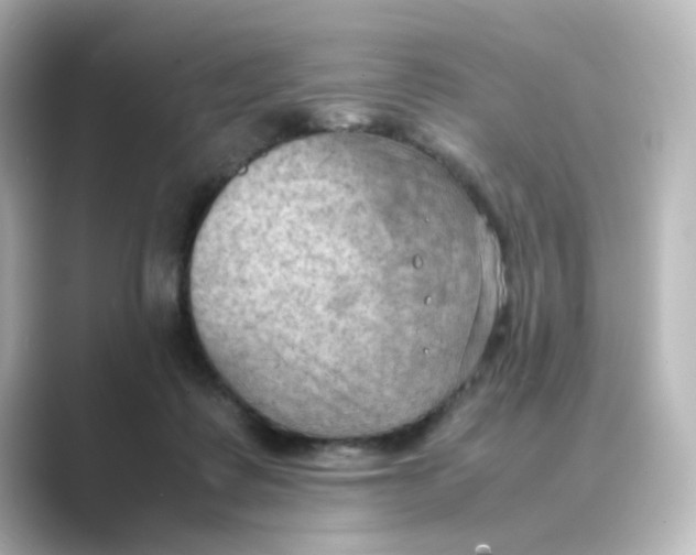 X0000088740315200706212101