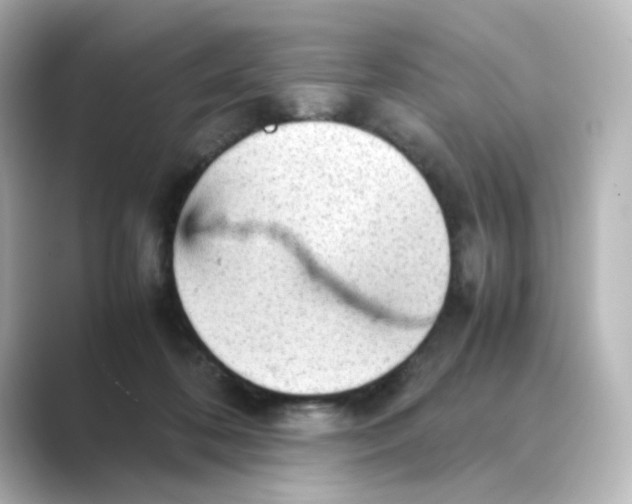 X0000088740316200706212101